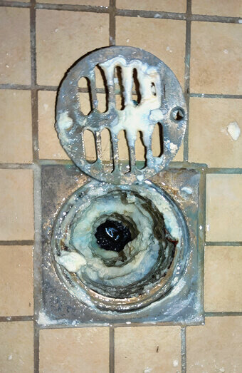 https://blockeddrainsmadeley.com.au/uploads/2025/07/blocked-shower-drains-86331.jpg