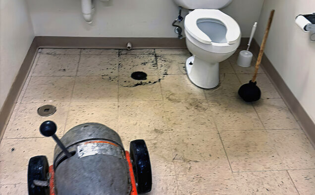 https://blockeddrainsmadeley.com.au/uploads/2025/07/blocked-toilet-36908.jpg
