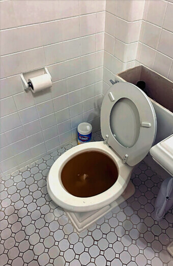 https://blockeddrainsmadeley.com.au/uploads/2025/07/blocked-toilet-99184.jpg